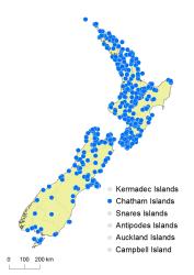 Hypolepis ambigua distribution map based on databased records at AK, CHR & WELT.
 Image: K. Boardman © Landcare Research 2017 CC BY 3.0 NZ